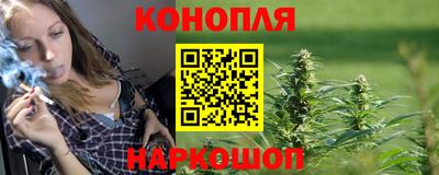 стафф Камышлов