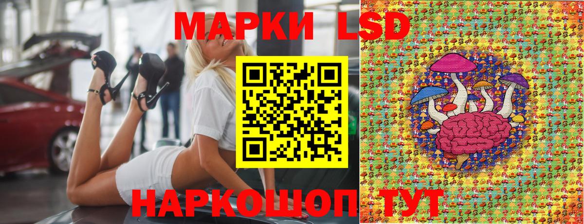 Кудрово  купить наркотики цена  Вход с VPN  Марки NBOMe 1,5мг 