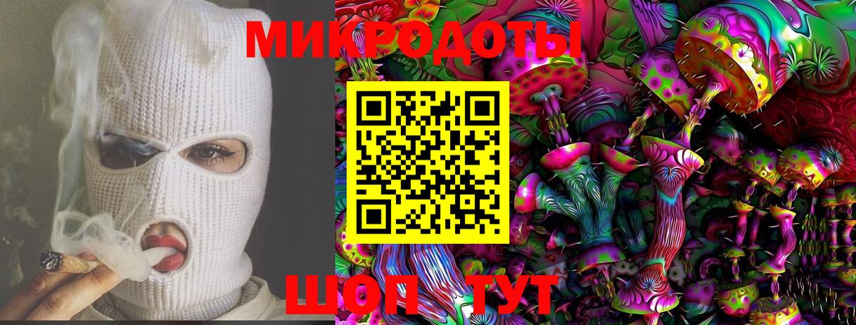 Галлюциногенные грибы Cubensis Кудрово